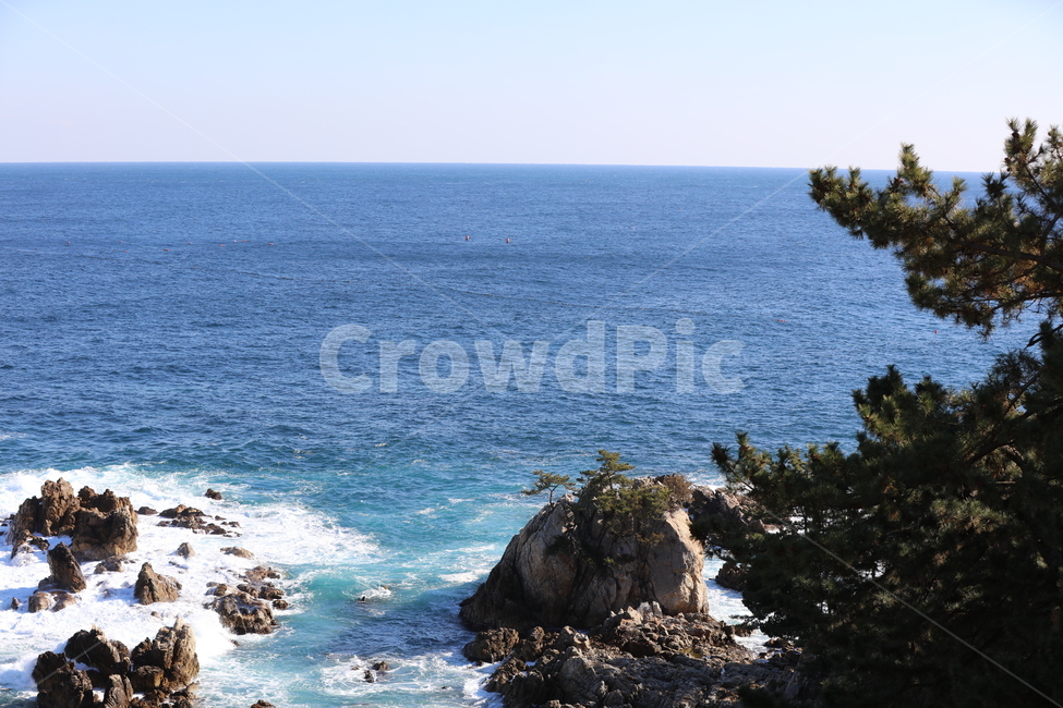바다,동해,해송,바위,파도,sea,ocean,wood,blue,뷰,자연,하늘,서해,남해,겨울바다,하얀,자연,풍경,nature,landscape,promontory,곶,outdoors,옥외,water,물,대양
