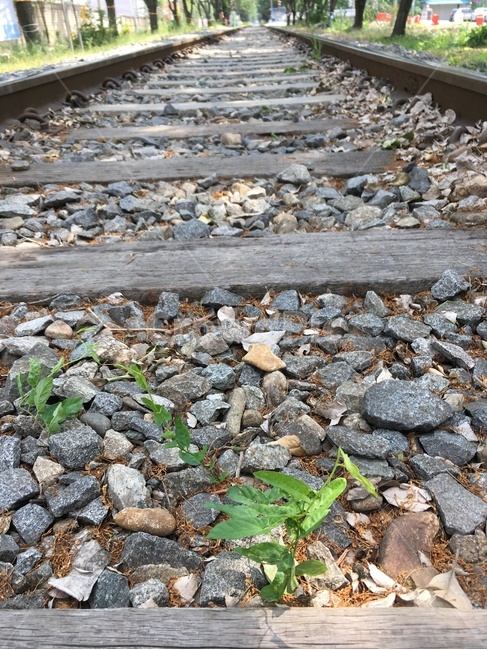 철도,철길,기차,기찻길,railway,railroad,train