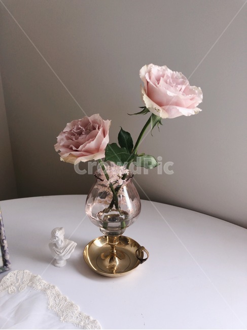 장미,blossom,rose,flower,꽃