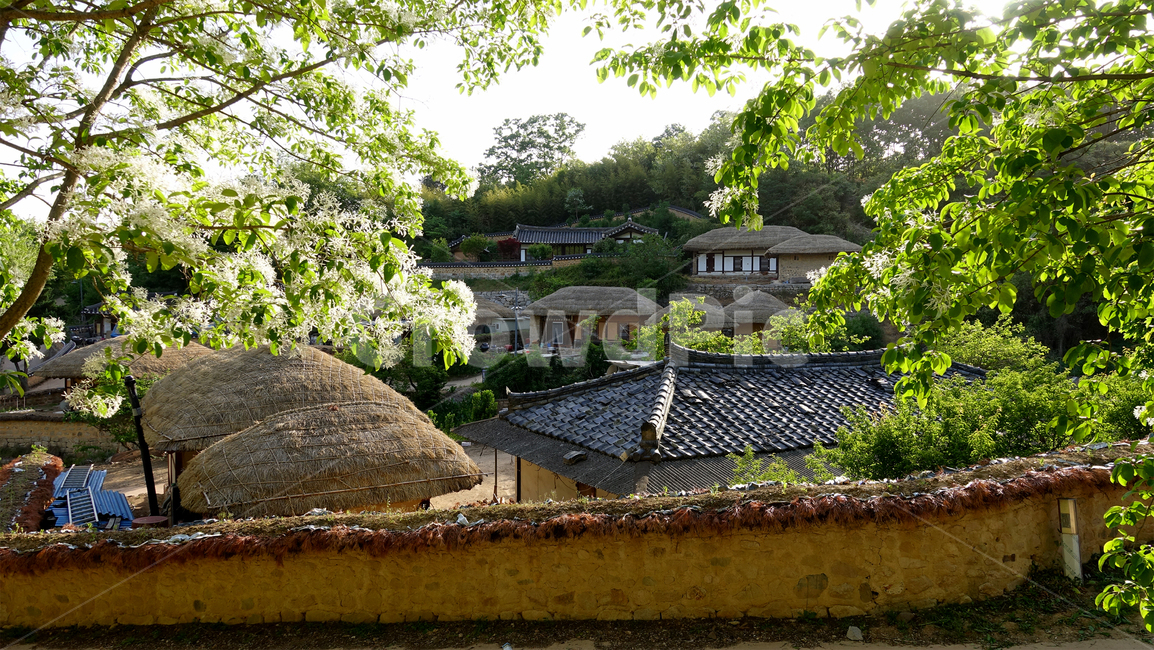 한옥,경주양동마을,전통건축,전통주거,전통마을,담벼락,기와집,초가집,roof,지붕,시골,마을,풍경,landscape,country,rural,town