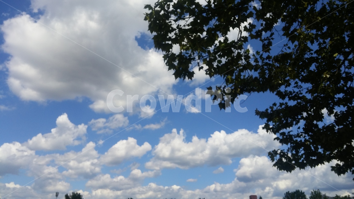 하늘,구름,자연,풍경,나무,자연,풍경,nature,landscape,outdoors,옥외,weather,날씨,sky,cumulus,적운,cloud