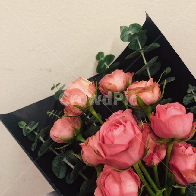 꽃,장미,꽃다발,flower,rose,꽃,flower,기념일,축하,anniversary,congratulation,celebrate,celebration