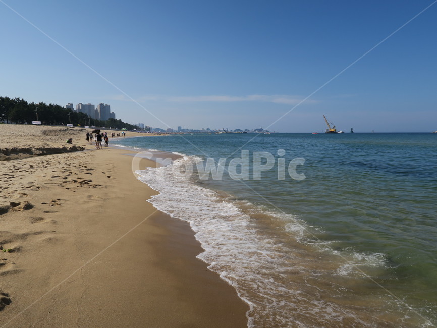 파도,바다,해안,푸른느낌,강원도,해변,바다,beach,sea,사람들,대중,군중,other people,crowd