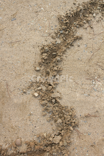 땅바닥,모래바닥,샌드,자국,파헤친,파놓은,선,선긋기,드로잉,그라운드,탑앵글,탑뷰,땅파기,지표면,클로즈업,표면,토양,흙,흙바닥,갈색,브라운,자연,땅,농토,텍스춰,바닥,모래,탑,돌,돌멩이