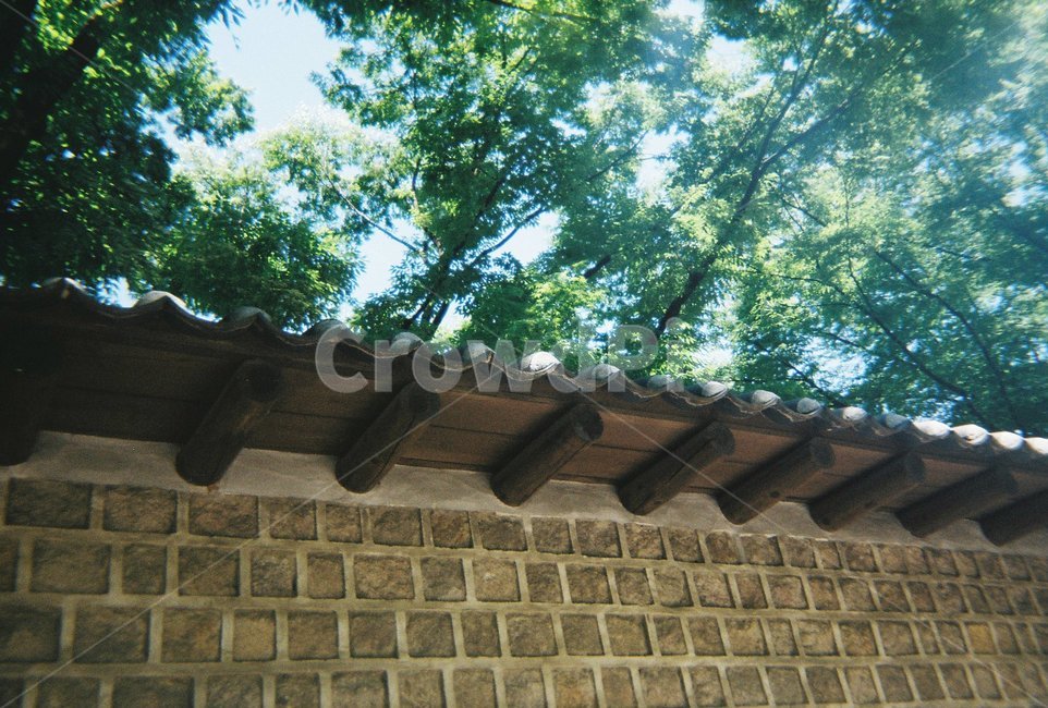 필름,야외,아날로그,담장,한옥,한국전통,한국문화,korean traditional,korean culture,건축물,건물외관,exterior,building,structure,architecture,construction