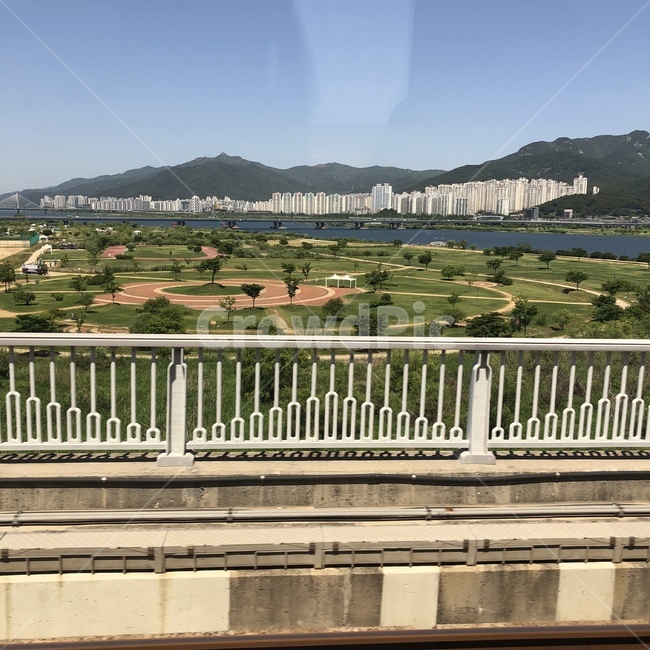 railing,난간,나무,tree,초록,green,풍경