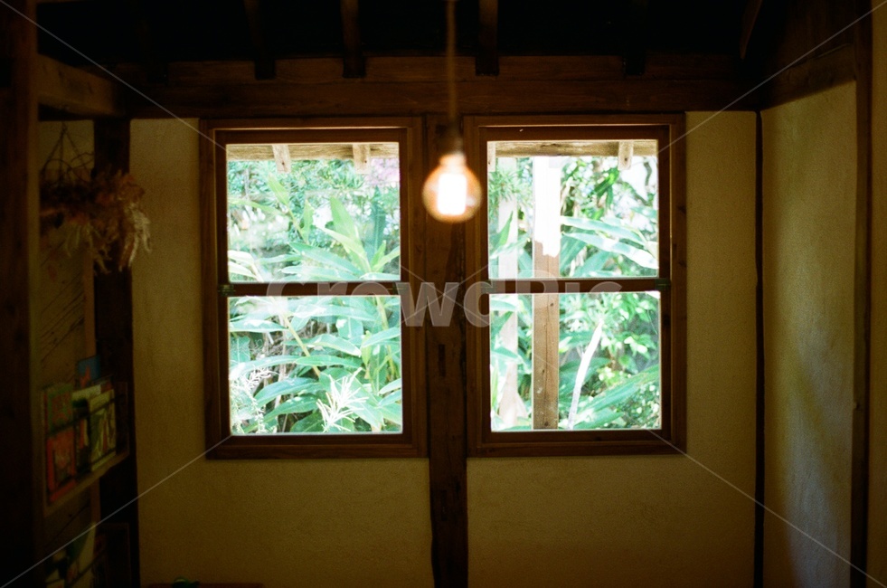 창문,조명,인테리어,실내,필름사진,자연,식물,나무,한옥,그림자,빛,감성사진,window,nature,tree,interior,space,카페,감성,sensible,feeling,인테리어,실내디자인,interior design