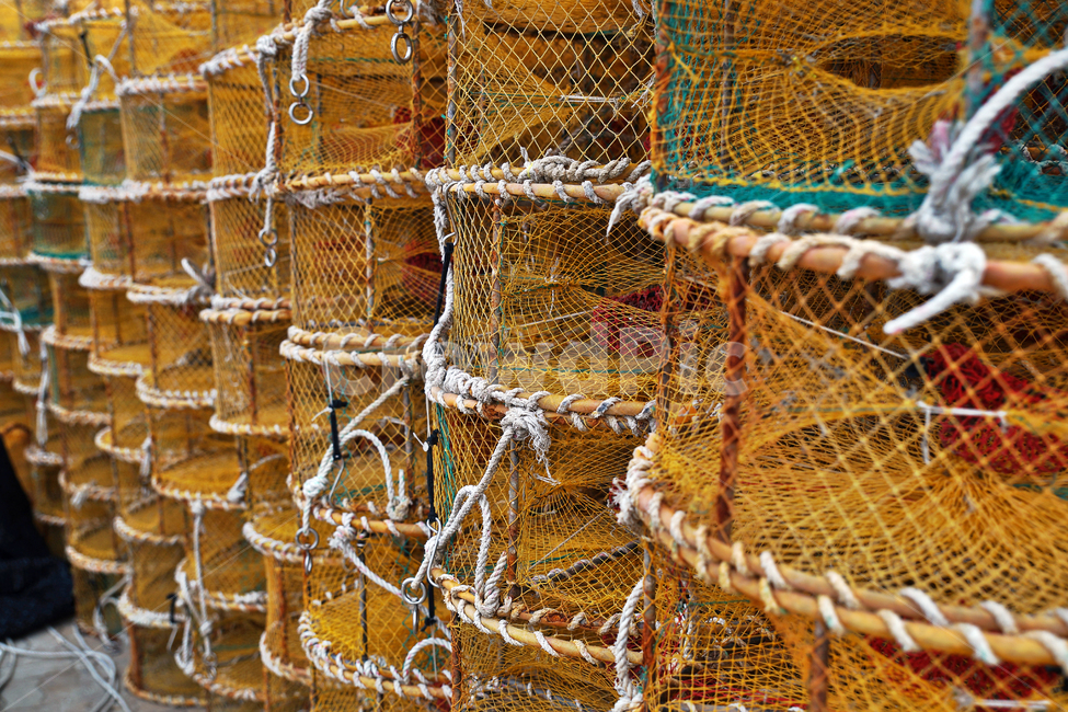 어망,어구,고기잡이,그물,어업,바다,어업,fishery,fishing industry