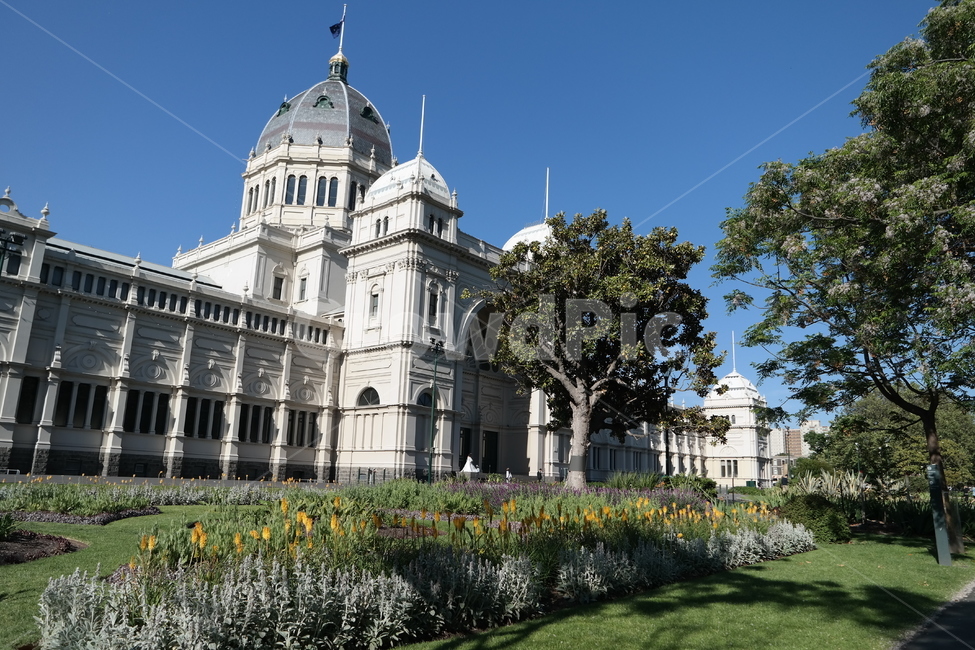 멜버른,melbourne,나무,하늘,풍경,건물,해외,외국,세계,foreign,oversea,world,건축물,건물외관,exterior,building,structure,architecture,construction