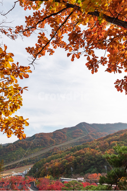 하늘,단풍,구름,산,나무,landscape,배경화면,가을,계절,fall,autumn,season,자연,풍경,nature,landscape,한국자연풍경,한국자연경관,korea nature landscape,leaf,잎,plant,식물,tree