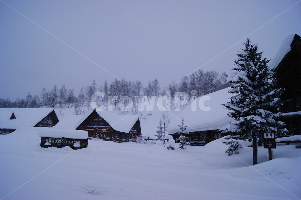 snow,눈,폭설,겨울,홋카이도,겨울풍경,함박눈,겨울,계절,winter,season,자연,풍경,nature,landscape
