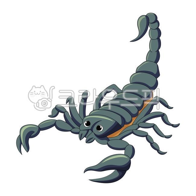 동물,절지류,곤충,전갈,스콜피온,꼬리,독,포이즌,회색,무서운,공포,버그,벡터,일러스트,클립아트,디자인,그래픽,테마,귀여운