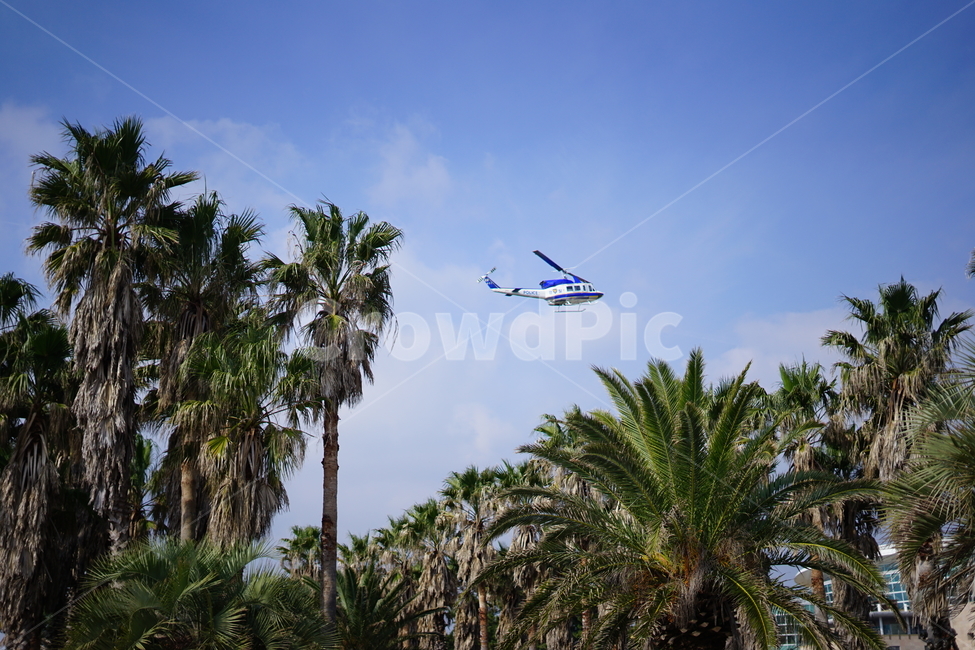하늘,비행기,헬기,헬리콥터,helicopter,교통,교통수단,traffic,transportation