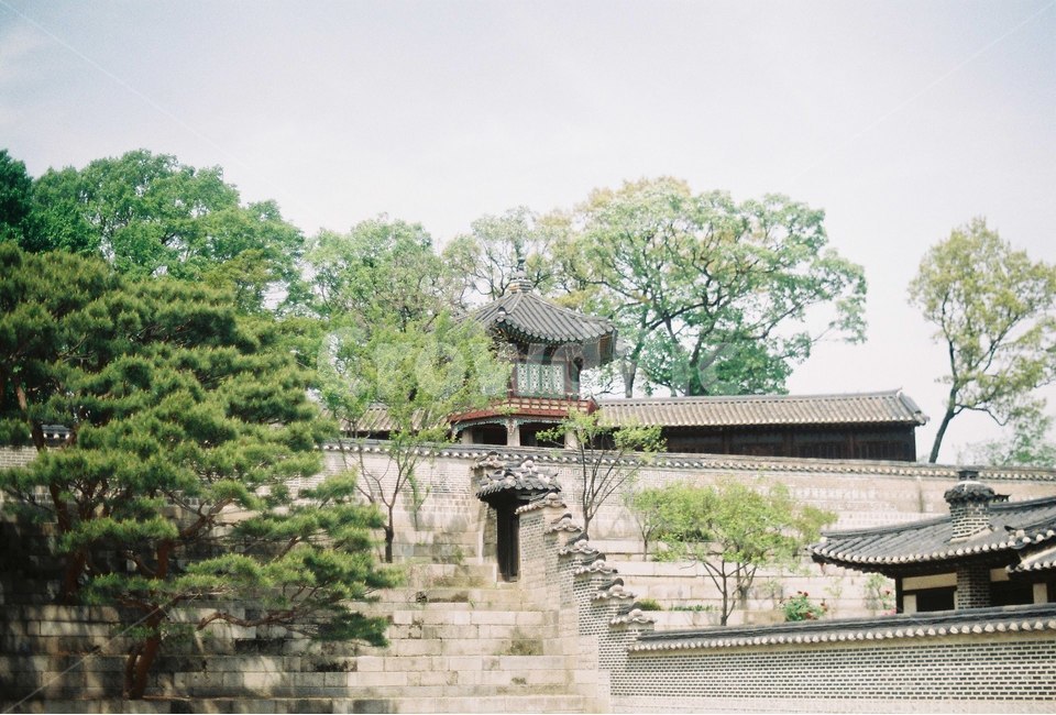 한옥,전통기와,기와집,한국전통,기와,창덕궁,한국전통,한국문화,korean traditional,korean culture,랜드마크,landmark,tourist attraction,한국랜드마크,한국관광지,한국명소,korea landmark,korea tourist attraction,건축물,건물외관,exterior,building,structure,architecture,construction