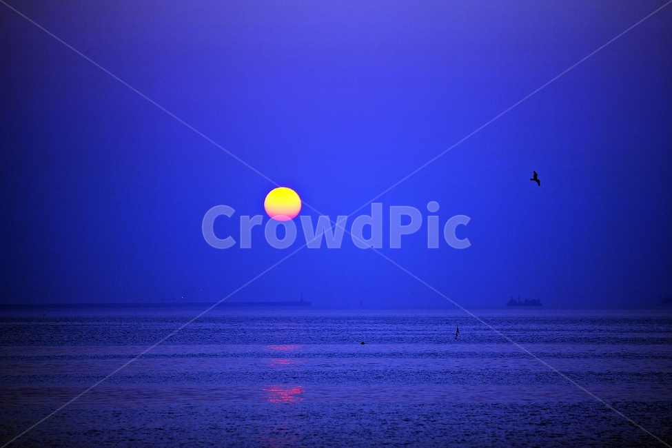 일출,새벽,바다,동해,sunrise,자연,풍경,nature,landscape,outdoors,옥외