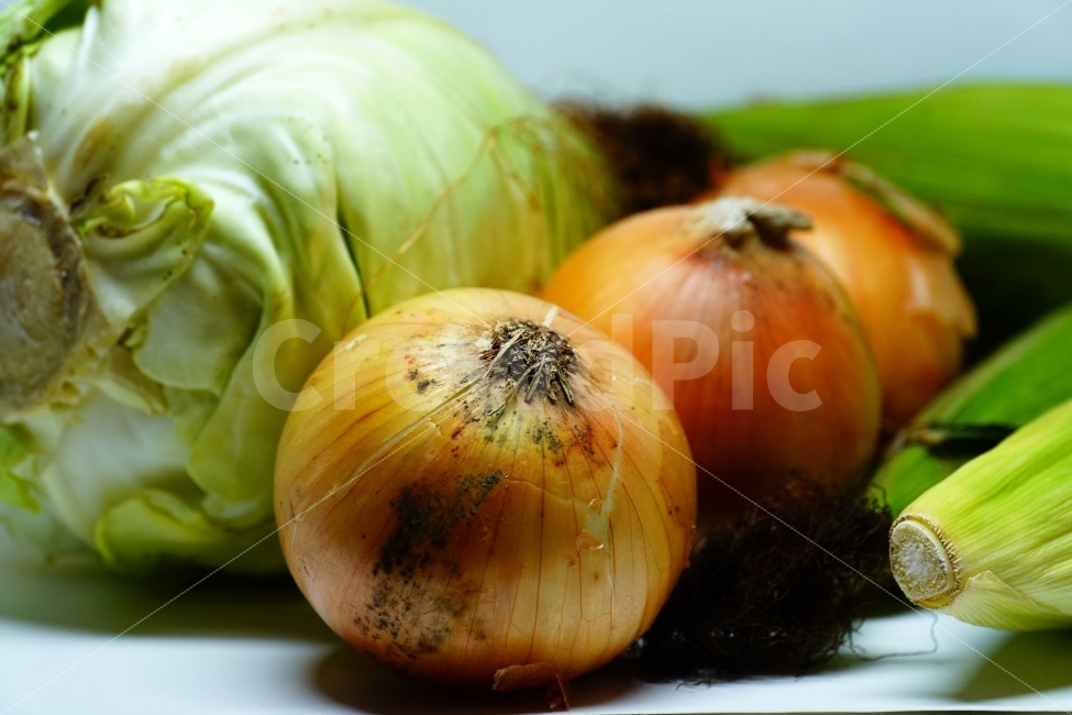 연출,연출사진,농작물,농산물,과일,열매,채소,야채,조리,식재료,식자재,vegetable,음식,반찬,요리,쿡,cook,식물성,fruit,디저트,dessert,meal,dish,dishes,food,신선한,신선하다,신선함,신선도,싱싱함,싱싱하다,양파,다마네기,옥수수,콘,corn,양배추,사물,물건,오브젝트,object,식품,식료품,컨셉,콘셉,concept,eat,먹거리,먹을거리,recipe,음식,식재료,요리,food,cook,meal,dishes,food reserves,채소,야채,vegetables,연출,컨셉,콘셉,direction,concept