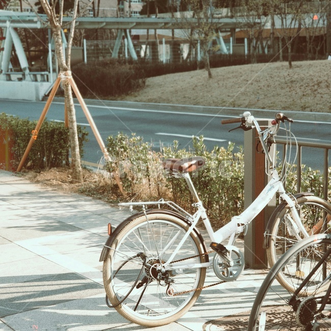자전거,bicycle,bike,vehicle,transportation,wheel,교통