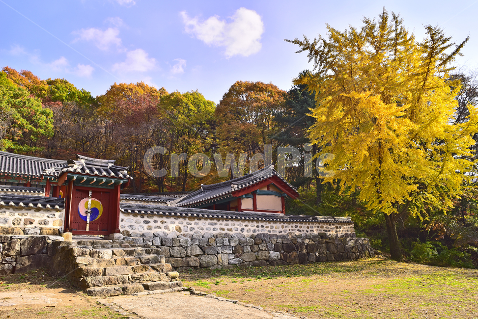 가을,남한산성,세계문화유산,한국자연경관,한국자연풍경,고건축물,전통양식,traditional,사당,유네스코,unesco,가을배경,가을감성,단풍나무,단풍숲,환경,힐링,environment,잎새,이파리,colorful,season,background,natural,자연,계절,시즌,백그라운드,칼라풀,컬러풀,forest,healing,tree,나무,plant,식물,maple,단풍,leaf,잎,건축물,건축양식,한국전통양식,빌딩,기와지붕,태극문양,돌담,석축,fall,autumn,outdoor,야외,옥외,아웃도어,가을,계절,fall,autumn,season,한국전통,한국문화,korean traditional,korean culture,랜드마크,landmark,tourist attraction,한국랜드마크,한국관광지,한국명소,korea landmark,korea tourist attraction,건축물,건물외관,exterior,building,structure,architecture,construction,nature,outdoors,건물,rural,농촌