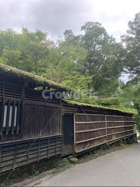 온천,일본,마을,시골,nature,자연