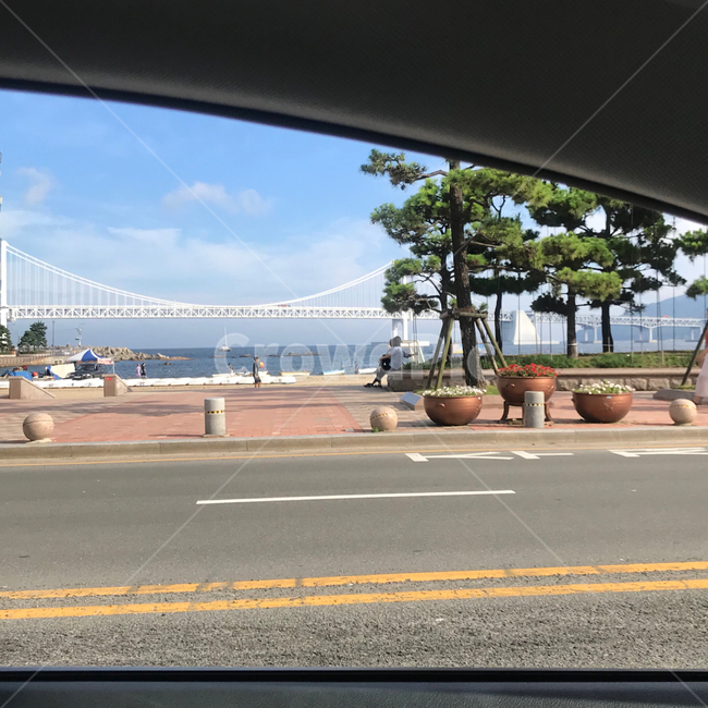 부산,광안대교,해변,바다,도로,풍경