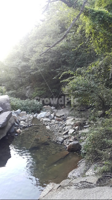 나무,계곡,산,풍경,자연,자연,풍경,nature,landscape,outdoors,옥외
