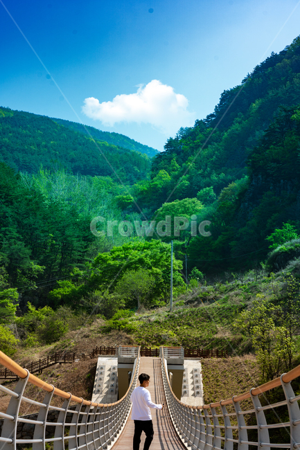 산,출렁다리,다리,풍경,구름,맑음,푸른,인물,사람,나무,언덕,하늘