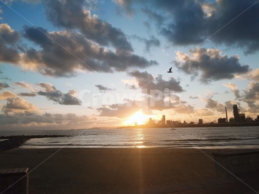 풍경,새벽,아침,sea,바다,seagull,갈매기,sunlight,햇빛,sunrise,일출,light,빛,nature,자연,outdoors,옥외