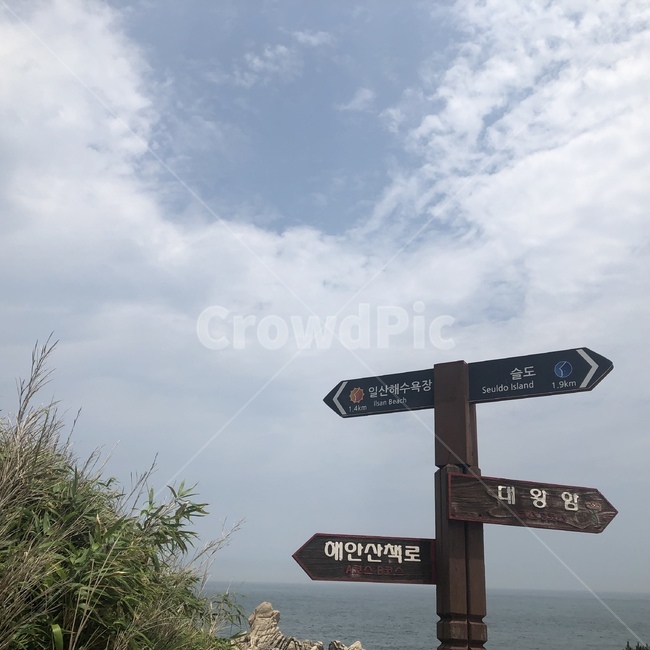 symbol,울산,바다,감성,산책