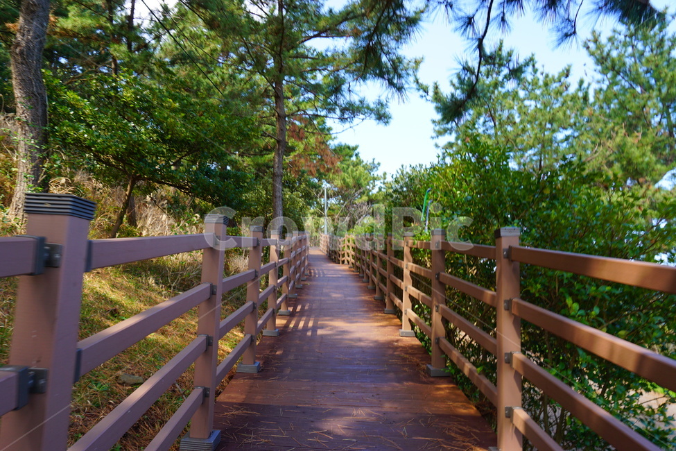 도두봉,도두오름,제주도두봉,제주도도두봉,오름