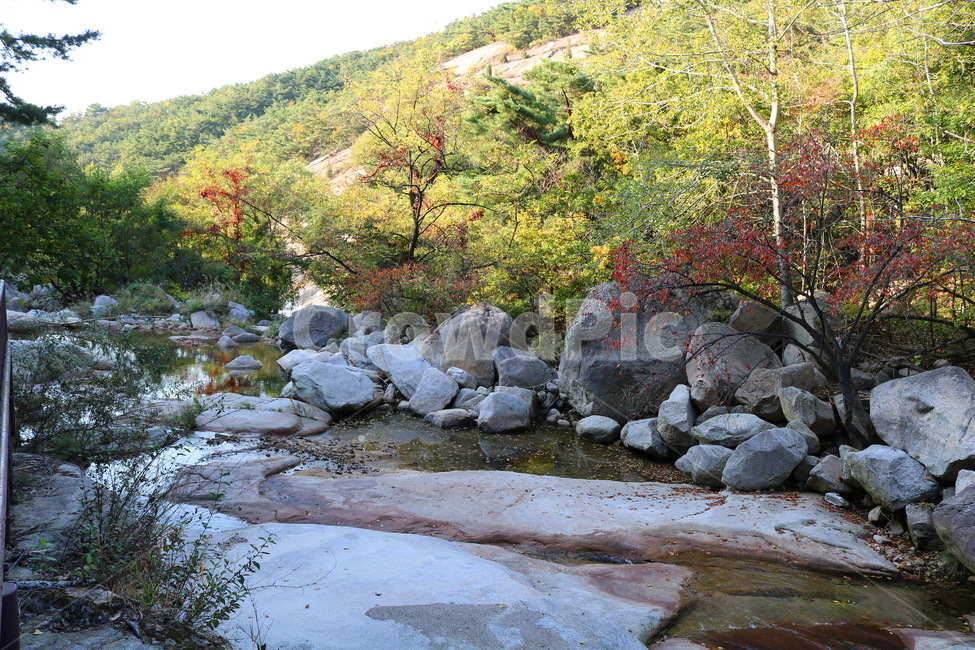 북한산,계곡,물,자연,풍경,맑은물,돌,바위,개천,나무,식물,공원,국립공원,북한산국립공원,산책로