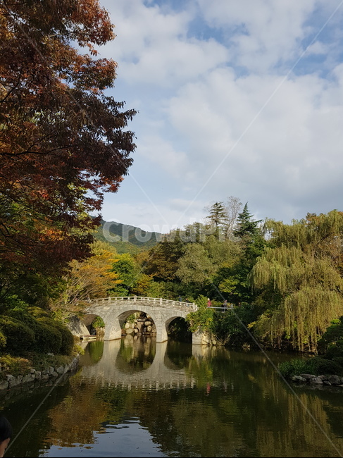 경주,불국사,운적,자연,water,outdoors