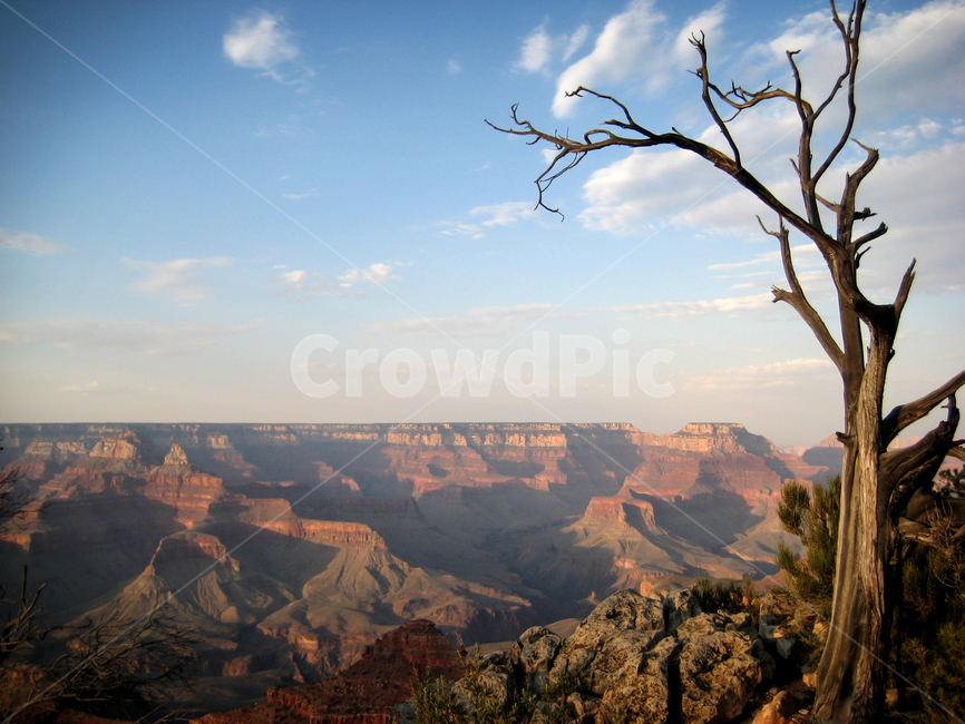 그랜드캐년,캐년,미국,grandcanyon,canyon,usa,풍경,landscape,nature,자연,outdoors,mountain,산,하늘,구름,sky,나무,tree,미서부,대자연,해외자연풍경,세계자연풍경,해외자연풍경,외국자연풍경,world nature landscape