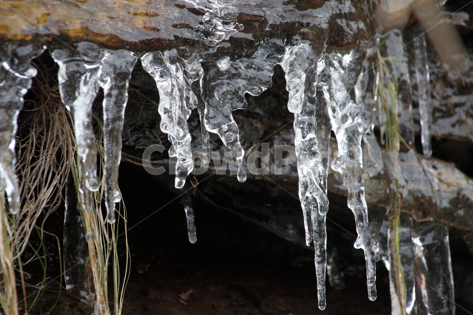 ice,얼음,winter,겨울,고드름,겨울,계절,winter,season