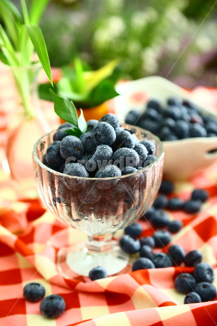 블루베리,베리,과일,blueberry,berry,fruit,food,sweet,fresh,음식,식재료,요리,food,cook,meal,dishes,food reserves,과일,열매,fruit