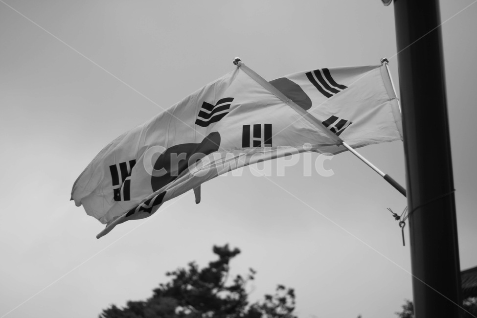 깃발,상징,태극기,태극,flying,바람,흑백,모노톤,monochrome,black and white