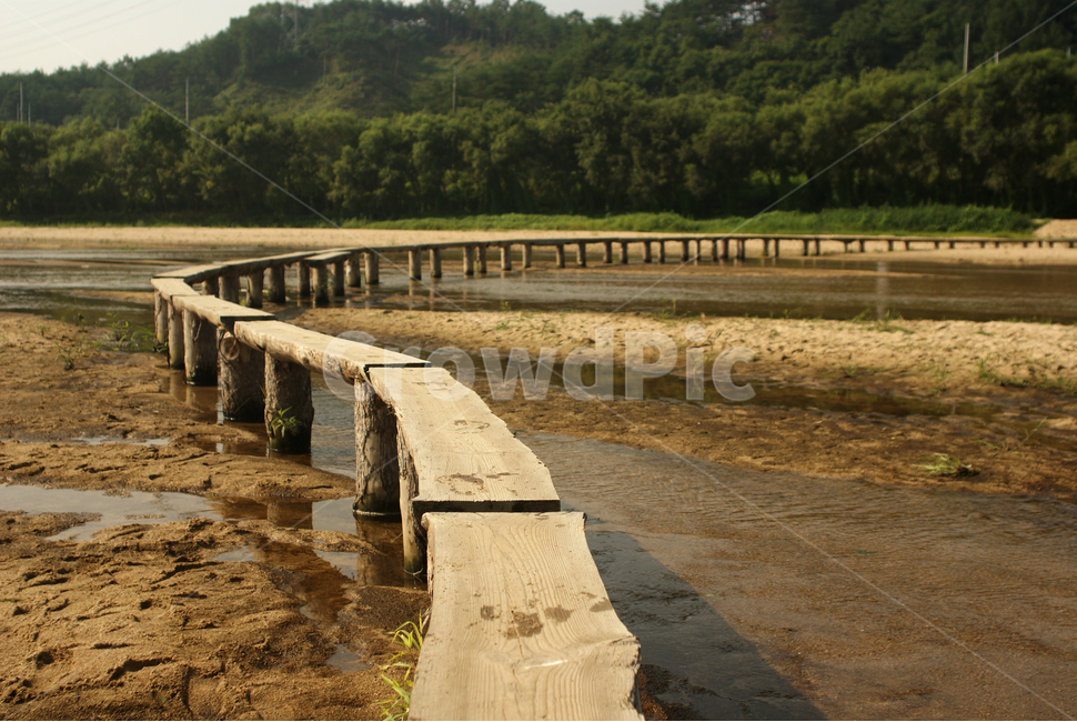강,물,다리,외나무다리,반짝거림,풍경,river,bridge,자연,풍경,nature,landscape,한국자연풍경,한국자연경관,korea nature landscape,boardwalk,산책로,building,건물,water