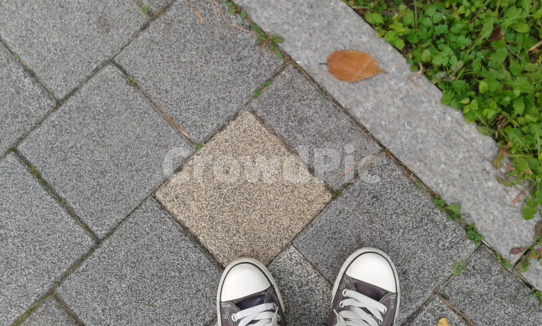 잎,left,바닥,아스팔트,asphalt