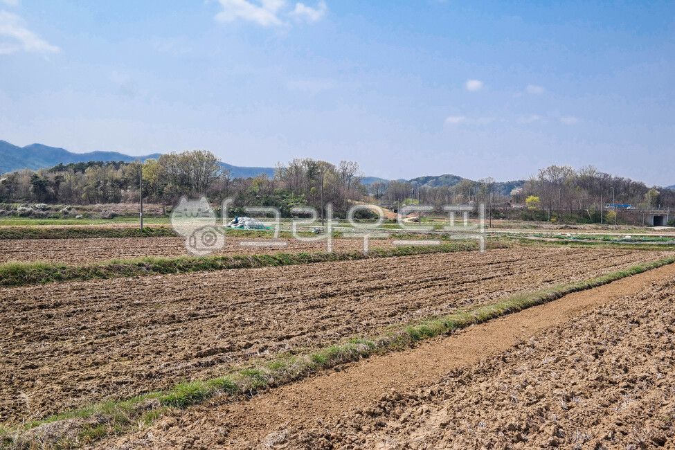 ground, 바닥, soil, 흙, nature, 사진,이미지,일러스트,캘리그라피 - studio H작가