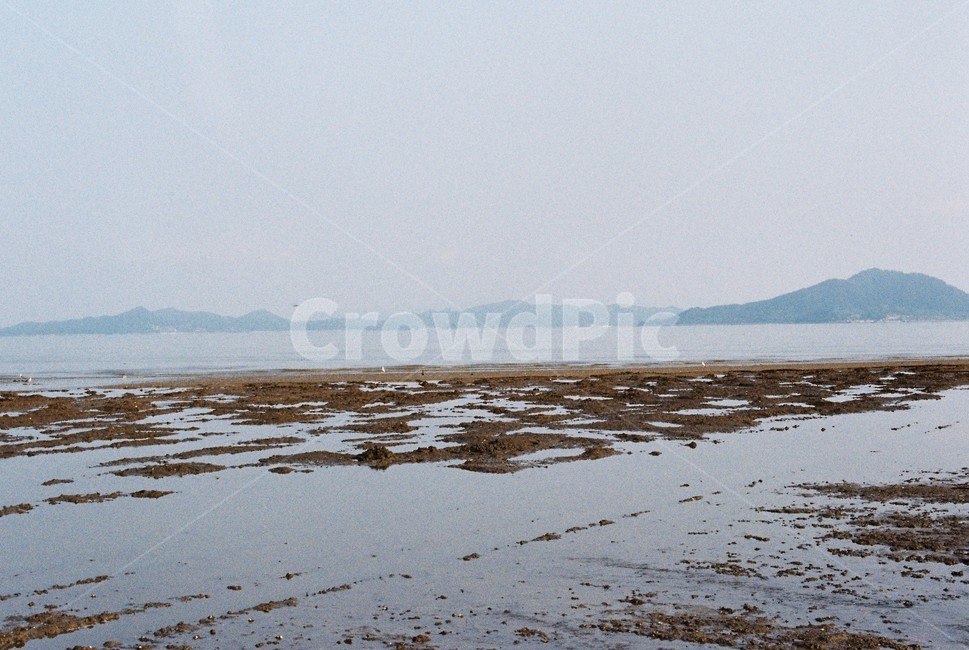 바다,풍경,갯벌,하늘,물