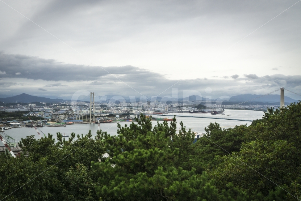 교각,울산,울산대교,울산항,풍경,다리,ulsan,bridge,city,도시,랜드마크,landmark,travel,도시,풍경,city,landscape,outdoors,옥외,nature,자연,scenery,경치,tree,나무,plant,식물,fir,전나무