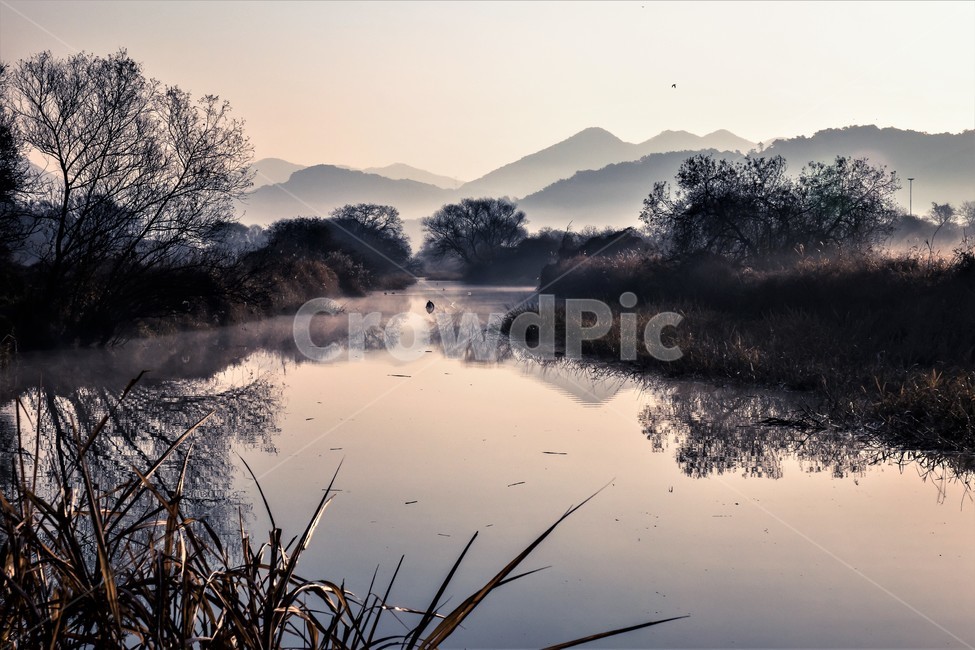 화포천,생태습지,습지,아침,자연,한국자연풍경,한국자연경관,landscape,nature,자연,풍경,nature,landscape,한국자연풍경,한국자연경관,korea nature landscape,outdoors,옥외,land,땅,water,물