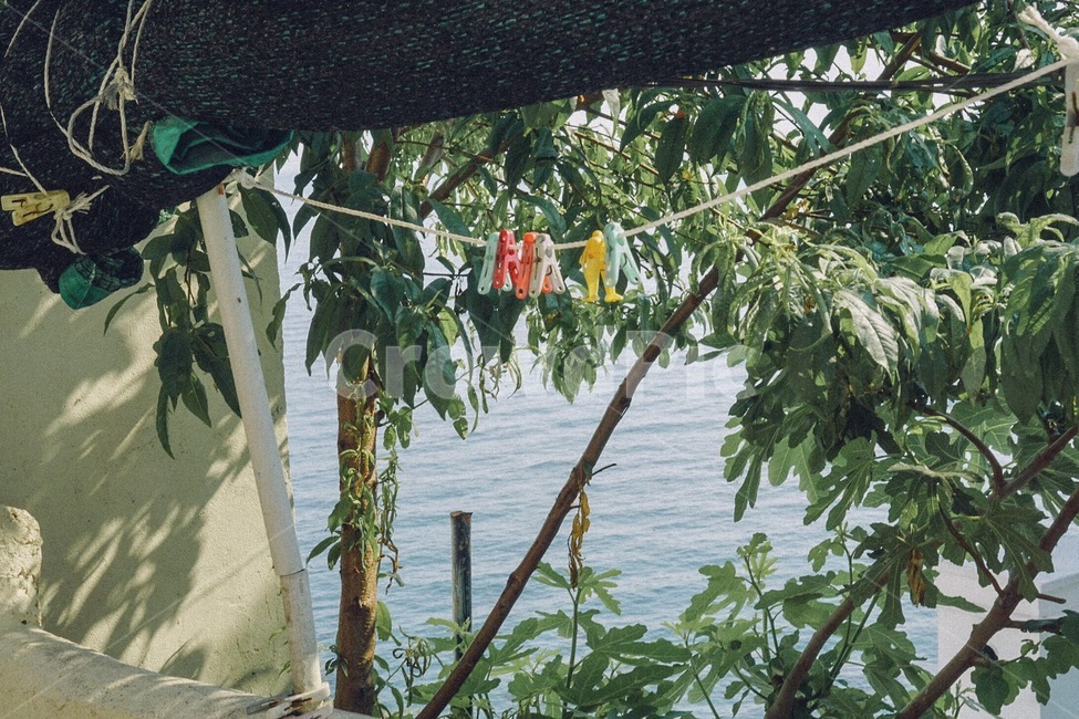빨래집게,감성사진,풀,자연,필카감성,자연,풍경,nature,landscape,식물,plants,감성,sensible,feeling