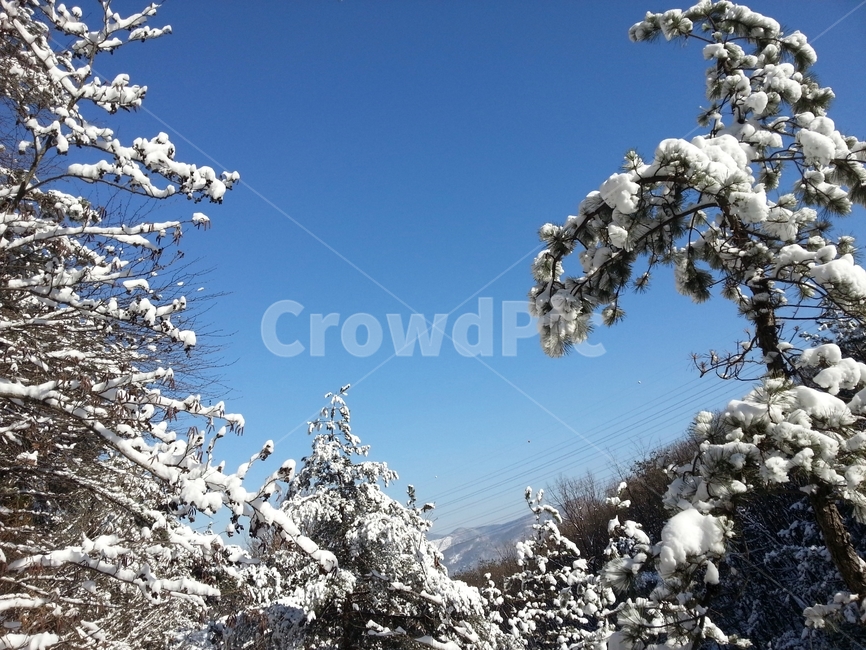 설경,눈,겨울산,눈꽃,폭설,겨울,계절,winter,season,자연,풍경,nature,landscape