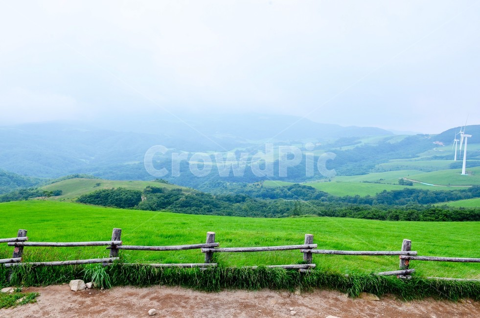 목장,힐링,가을,가족,푸른,자연,풍경,nature,landscape,outdoors,옥외,field,들,grassland,목초지