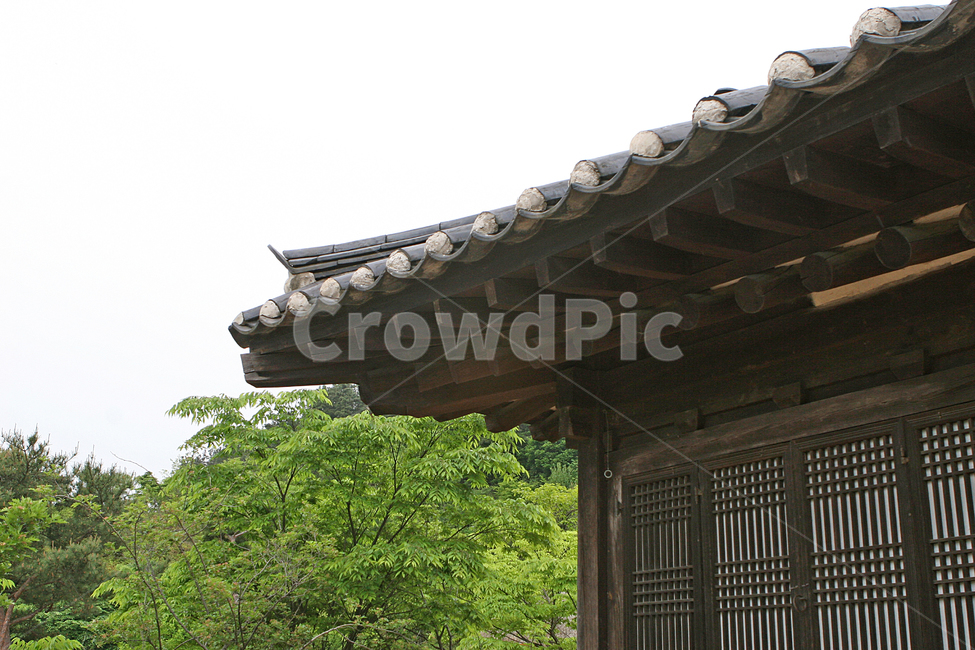 한옥,전통,처마,처마등,기와,한국전통,한국문화,korean traditional,korean culture,건축물,건물외관,exterior,building,structure,architecture,construction