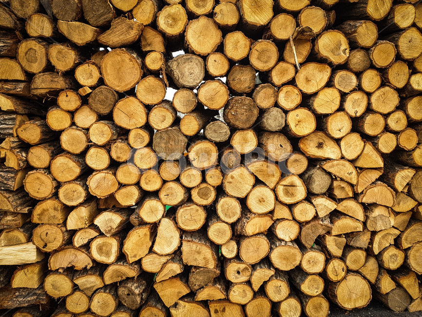 wood,나무,lumber,재목,느낌