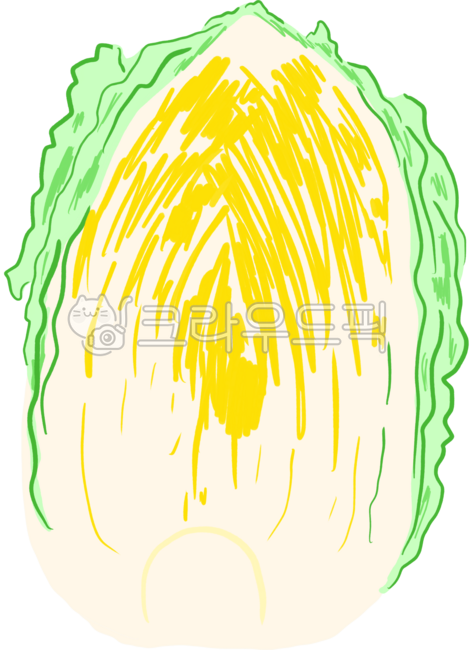 배추,배추속,배추김치,김장철,김장김치,포기,배추포기,김장