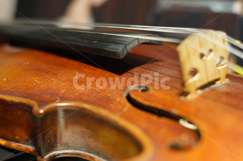 바이올린,악기,흔적,따뜻한,흠집,악기,음향기기,musical instrument,musical equipment