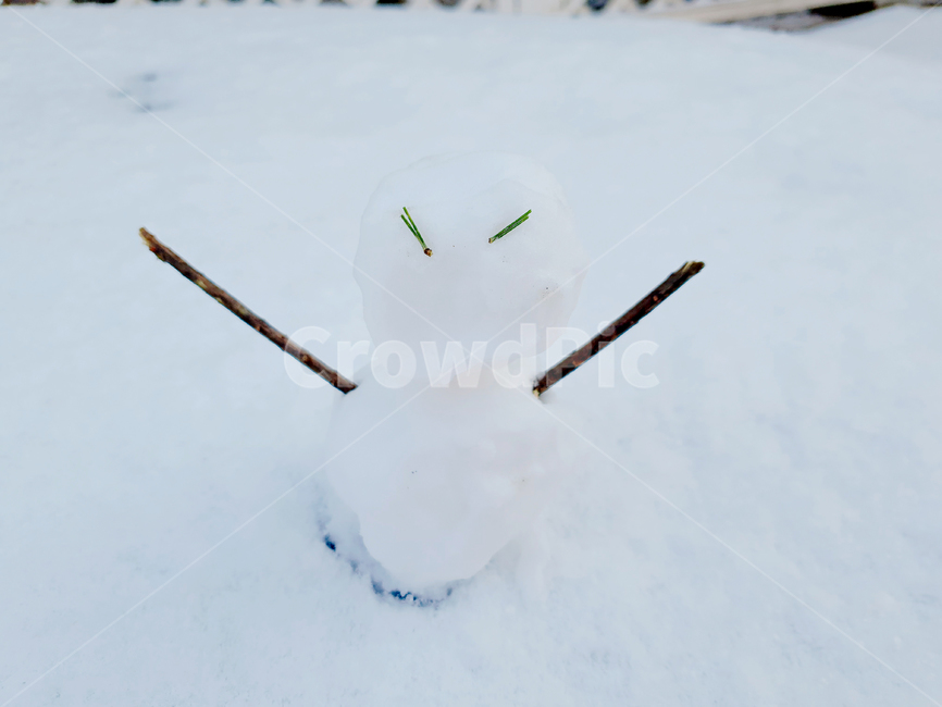 눈,눈사람,겨울,계절,눈송이,winter,season,snow,추위