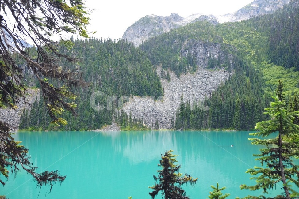 해외풍경,풍경,자연,강,scenery,lake,nature,자연,풍경,nature,landscape,해외,외국,세계,foreign,oversea,world,세계자연풍경,해외자연풍경,외국자연풍경,world nature landscape,tree,나무,plant,식물,fir,전나무,abies,아비,water,물